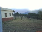 DSC02043.jpg