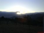 DSC02044.jpg