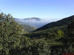 DSC02047.jpg