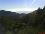 DSC02050.jpg