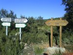 DSC02052.jpg