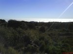 DSC02055.jpg