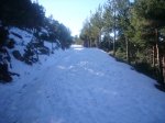 Foto6.JPG