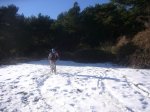 Foto12.JPG