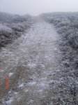 DSC06661.JPG