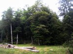12 jueves 17 anso-roncesvalles35.jpg