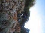 IMG_4067 foro.jpg