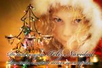 Navidad2008 (Small).jpg