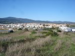 DSC08257.jpg