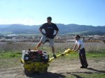 DSC08284.jpg