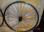 DSC04420.jpg