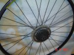 DSC04422.jpg
