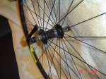 DSC04424.jpg