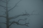 DSC_9918.JPG