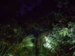 PC210149.jpg