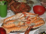 Navidad 2008-1.jpg