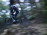 DSC00078.JPG