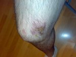 27122008170.jpg
