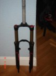 DSC01483.jpg