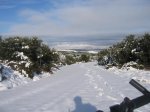 nieve 27-12-08 009.jpg