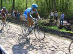 07-Bosque de Arenberg (21).JPG