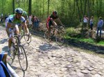 07-Bosque de Arenberg (24).JPG