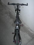 Goka-08.jpg