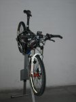 Goka-09.jpg