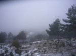Foto2.JPG