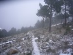 Foto3.JPG