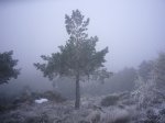 Foto6.JPG