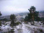 Foto8.JPG