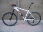 bici con cuernos 001.JPG