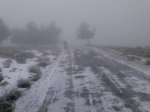 Imagen234.jpg