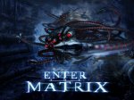 enter_the_matrix-1024x768[1].jpg