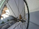 DSC00180.jpg