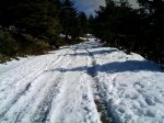 imag0018_524.jpg