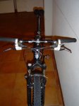 dsc02179peke.jpg