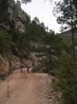 Lagartija06_resize.JPG