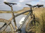 DSCN6150.jpg