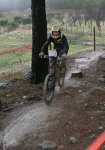 IMG_7935.JPG