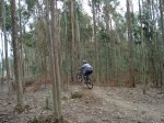 DSC00436.jpg