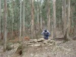 DSC00440.jpg