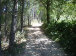el camino del norte 115.JPG