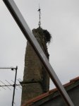 DSCN0036.jpg