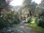 Caimari,miner , fartarix, , pollensa ,  lluc,cainari. 033.jpg