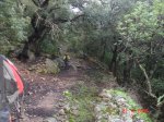 Caimari,miner , fartarix, , pollensa ,  lluc,cainari. 037.jpg