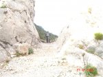 Caimari,miner , fartarix, , pollensa ,  lluc,cainari. 068.jpg
