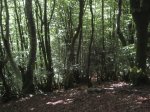 hondarribia12.JPG
