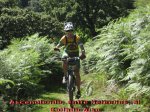 hondarribia31.jpg